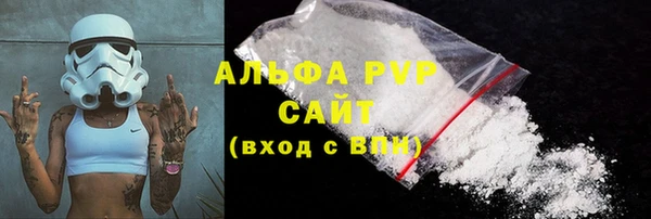 экстази Бородино